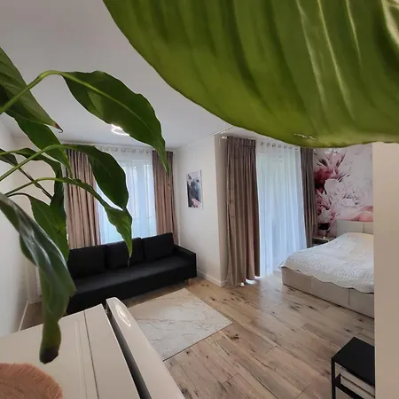 Ag Nova Modern * Катовице
